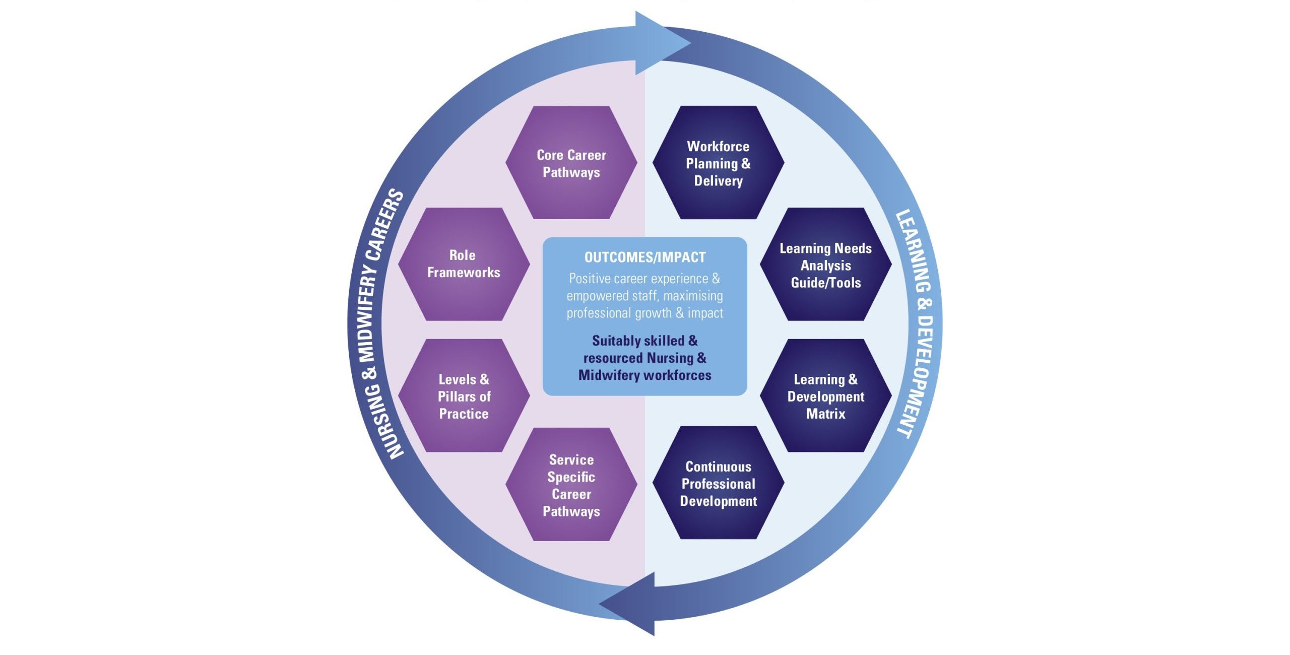 NI Career & Development Model for Nursing & Midwifery