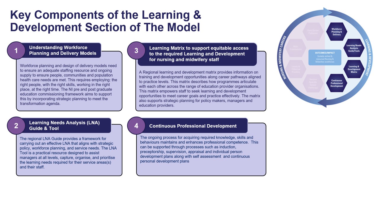 Key Components L& D Section Model